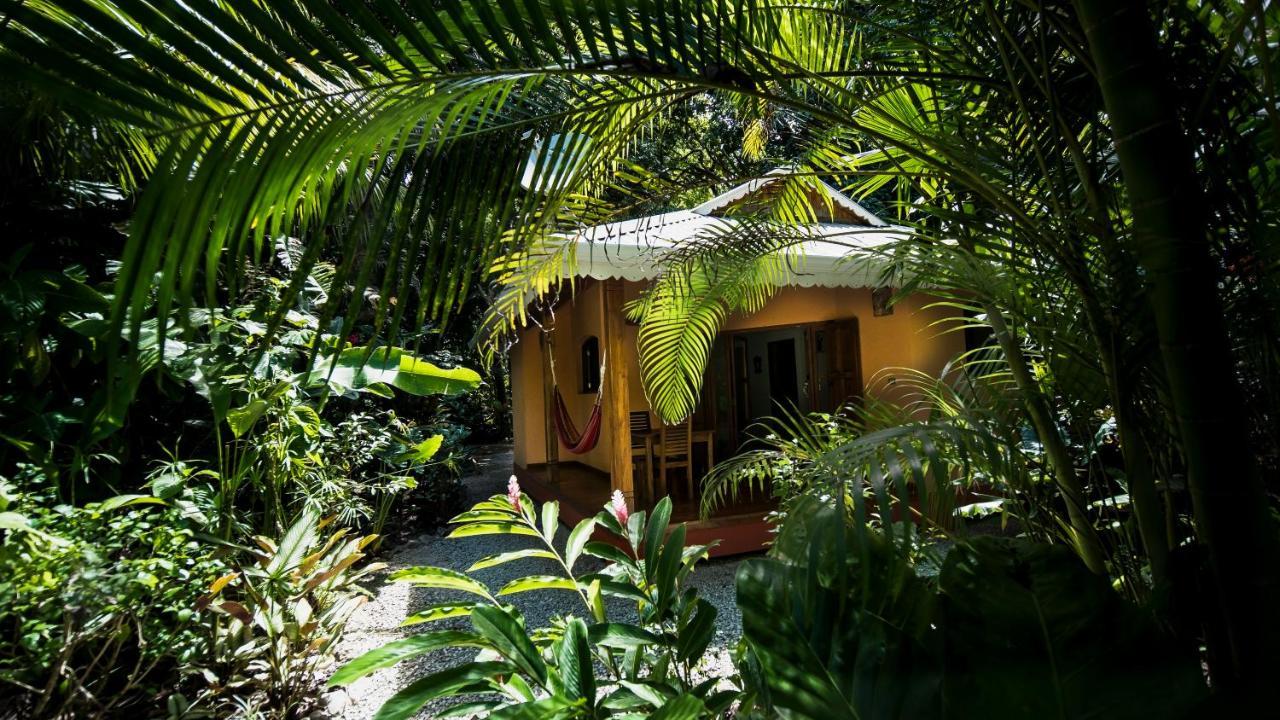 Hotel El Pequeno Gecko Verde Samara Exterior photo