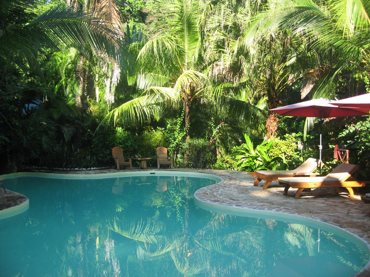 Hotel El Pequeno Gecko Verde Samara Exterior photo