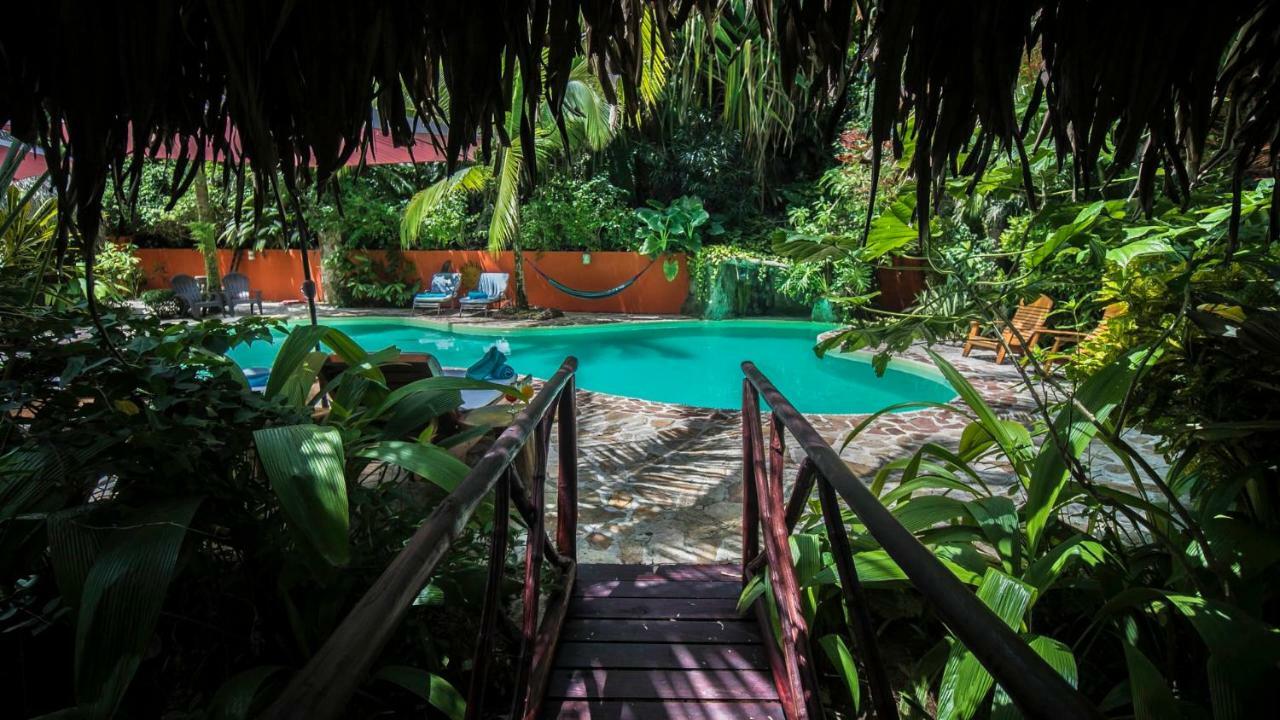 Hotel El Pequeno Gecko Verde Samara Exterior photo